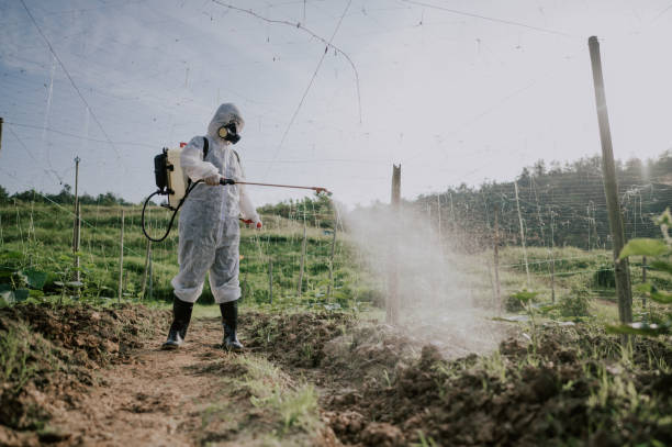 Best Best Pest Control Companies  in Pleasant Run, OH