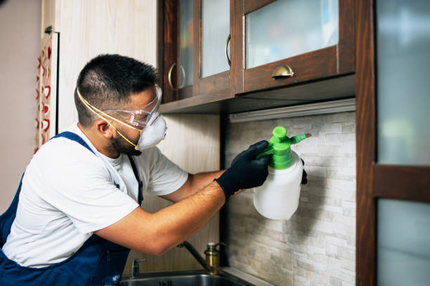 Best Pest Removal Services  in Pleasant Run, OH