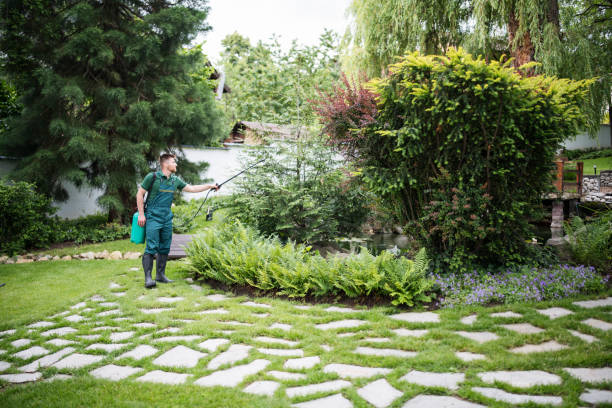 Reliable Pleasant Run, OH Pest Control Solutions