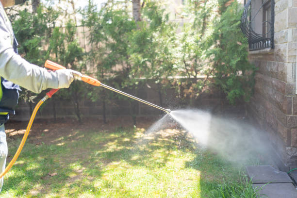 Best Mosquito Control Services  in Pleasant Run, OH