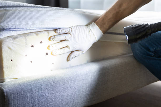 Best Pest Removal Services  in Pleasant Run, OH