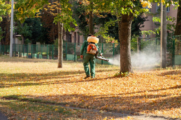 Best Flea Control Services  in Pleasant Run, OH